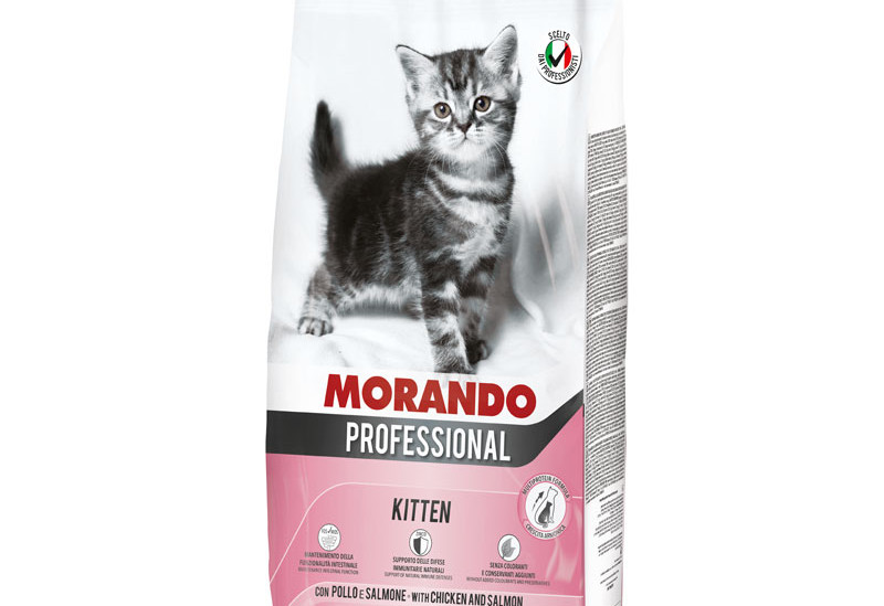 miglior_gatto_kitten_con_pol_salmone_15kg.jpg