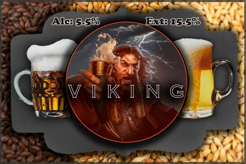 viking_bruna.jpeg